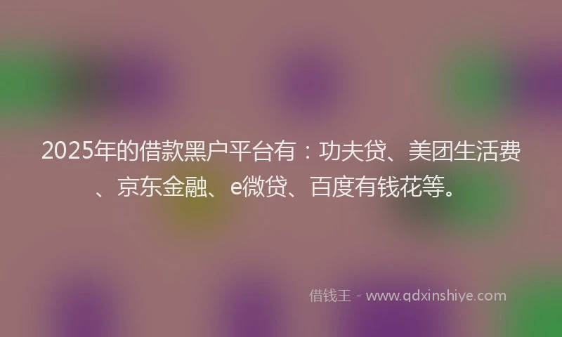 2025年的借款黑户平台有：功夫贷、美团生活费、京东金融、e微贷、百度有钱花等。
