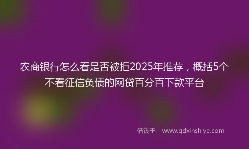 农商银行怎么看是否被拒2025年推荐，概括5个不看征信负债的网贷百分百下款平台