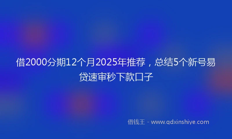 借2000分期12个月2025年推荐，总结5个新号易贷速审秒下款口子