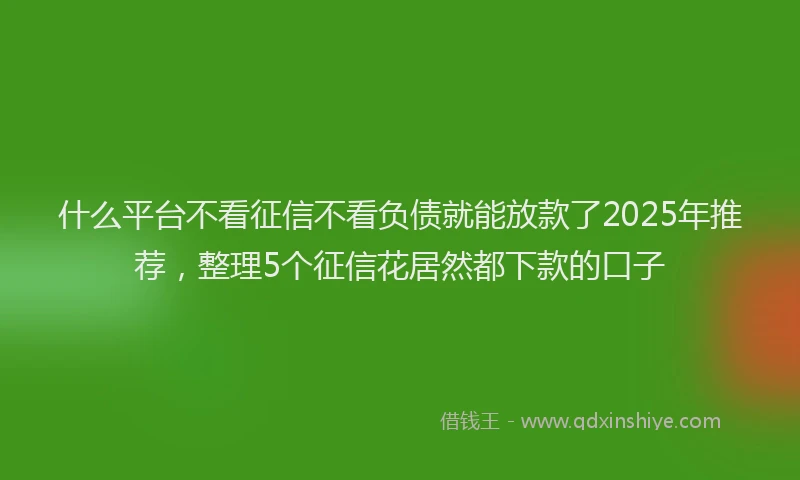 什么平台不看征信不看负债就能放款了2025年推荐，整理5个征信花居然都下款的口子