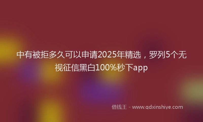 中有被拒多久可以申请2025年精选，罗列5个无视征信黑白100%秒下app