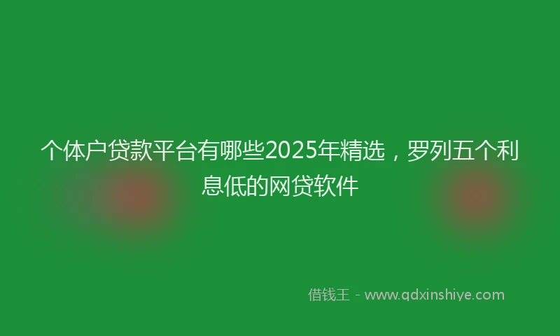 个体户贷款平台有哪些2025年精选，罗列五个利息低的网贷软件
