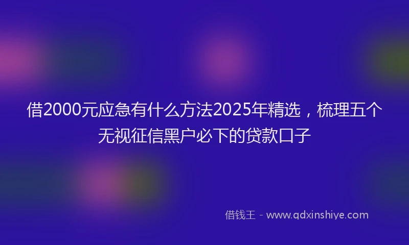 借2000元应急有什么方法2025年精选，梳理五个无视征信黑户必下的贷款口子