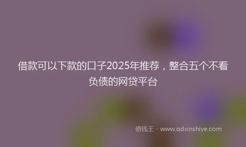 借款可以下款的口子2025年推荐，整合五个不看负债的网贷平台