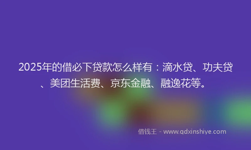 2025年的借必下贷款怎么样有：滴水贷、功夫贷、美团生活费、京东金融、融逸花等。