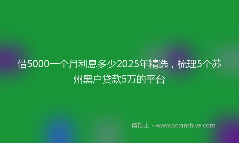 借5000一个月利息多少2025年精选，梳理5个苏州黑户贷款5万的平台