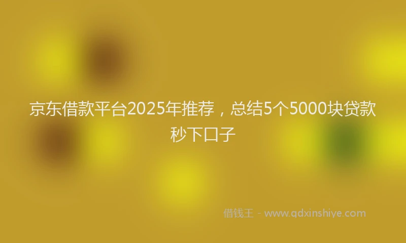 京东借款平台2025年推荐，总结5个5000块贷款秒下口子