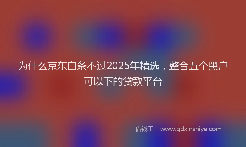 为什么京东白条不过2025年精选，整合五个黑户可以下的贷款平台