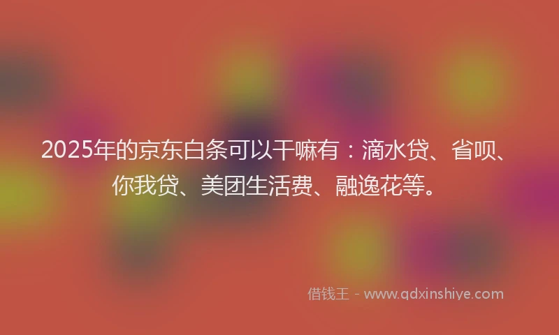 2025年的京东白条可以干嘛有：滴水贷、省呗、你我贷、美团生活费、融逸花等。