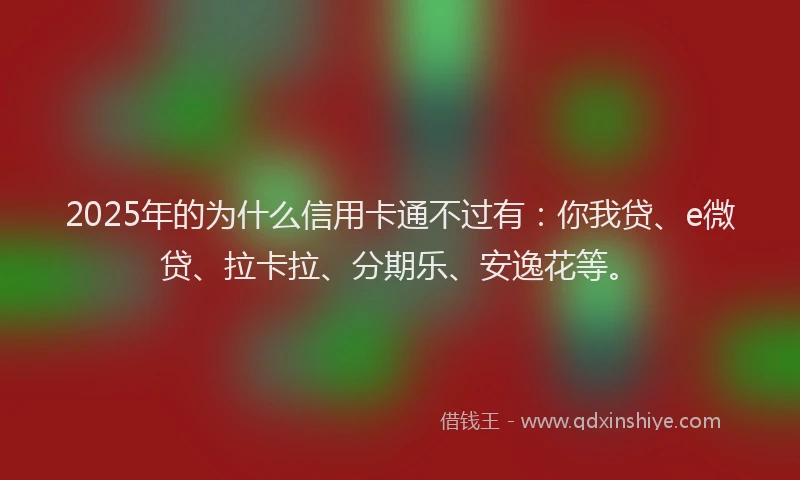 2025年的为什么信用卡通不过有：你我贷、e微贷、拉卡拉、分期乐、安逸花等。