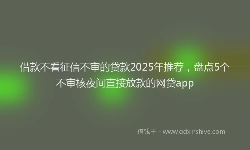借款不看征信不审的贷款2025年推荐，盘点5个不审核夜间直接放款的网贷app