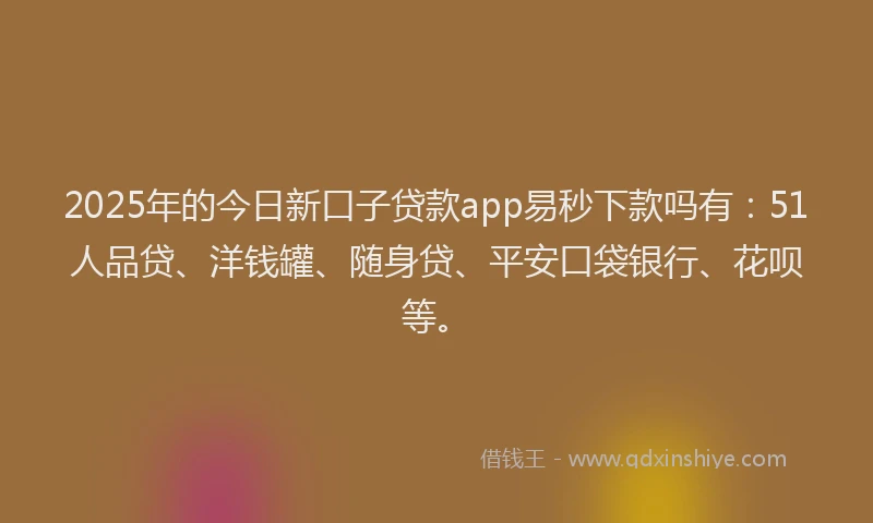2025年的今日新口子贷款app易秒下款吗有：51人品贷、洋钱罐、随身贷、平安口袋银行、花呗等。