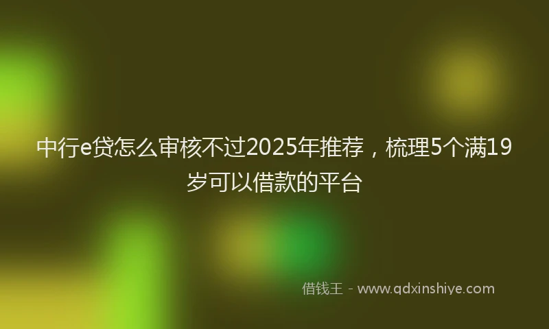 中行e贷怎么审核不过2025年推荐，梳理5个满19岁可以借款的平台