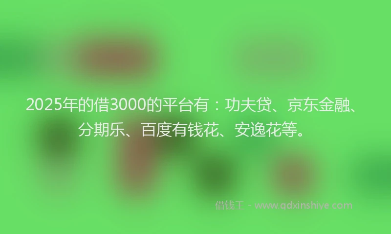 2025年的借3000的平台有：功夫贷、京东金融、分期乐、百度有钱花、安逸花等。