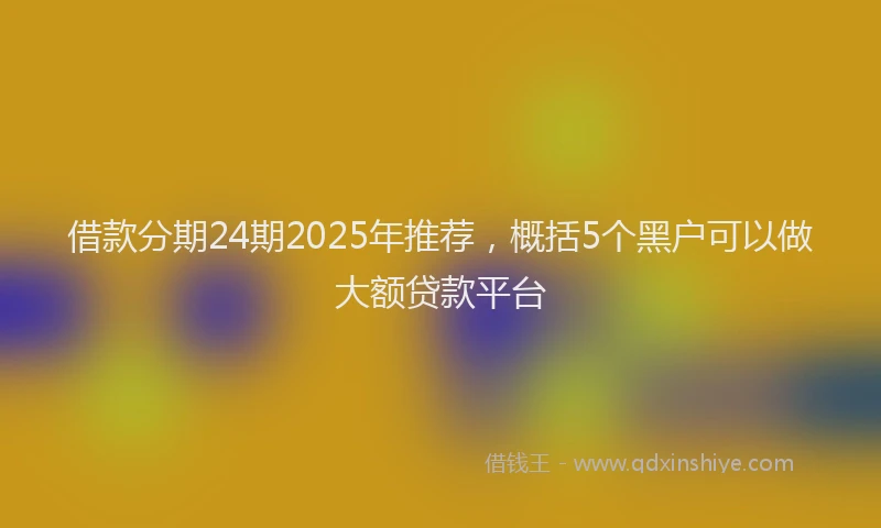 借款分期24期2025年推荐，概括5个黑户可以做大额贷款平台