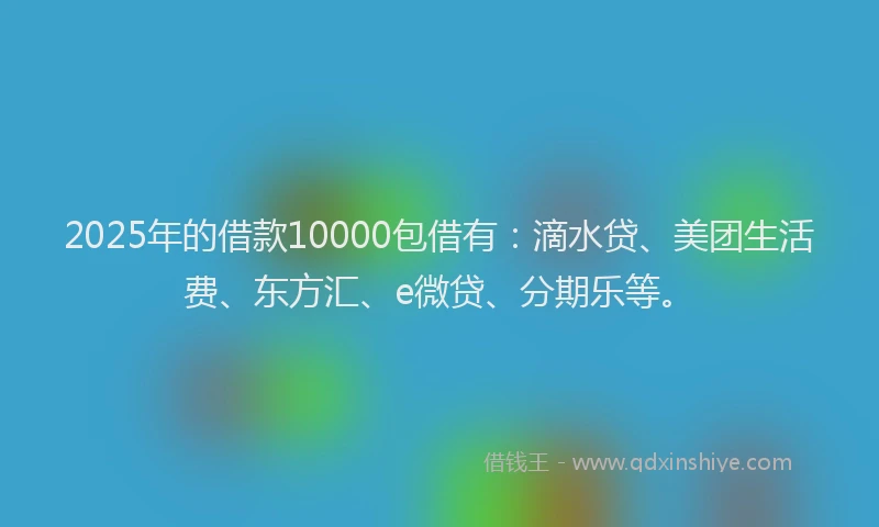 2025年的借款10000包借有：滴水贷、美团生活费、东方汇、e微贷、分期乐等。