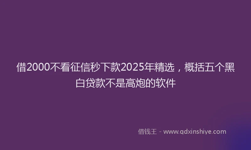 借2000不看征信秒下款2025年精选，概括五个黑白贷款不是高炮的软件