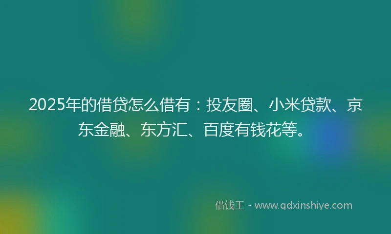 2025年的借贷怎么借有：投友圈、小米贷款、京东金融、东方汇、百度有钱花等。