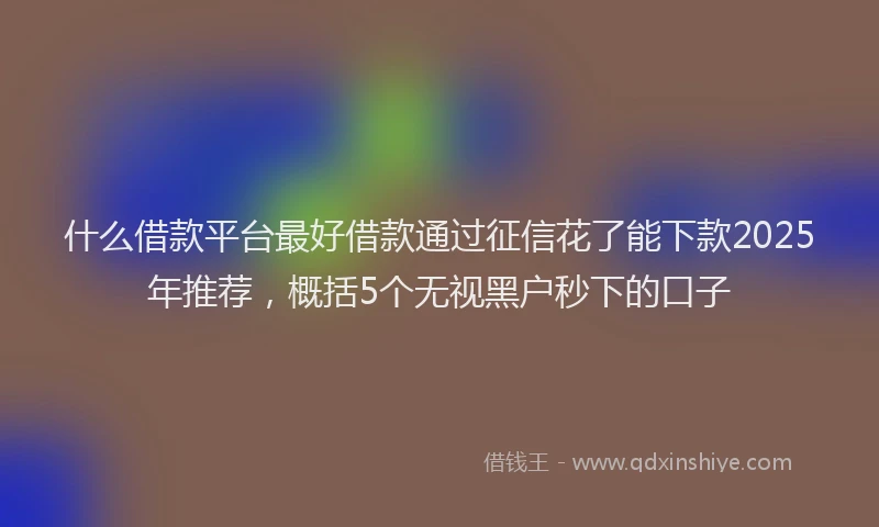 什么借款平台最好借款通过征信花了能下款2025年推荐，概括5个无视黑户秒下的口子