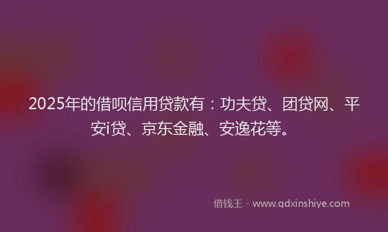2025年的借呗信用贷款有：功夫贷、团贷网、平安i贷、京东金融、安逸花等。