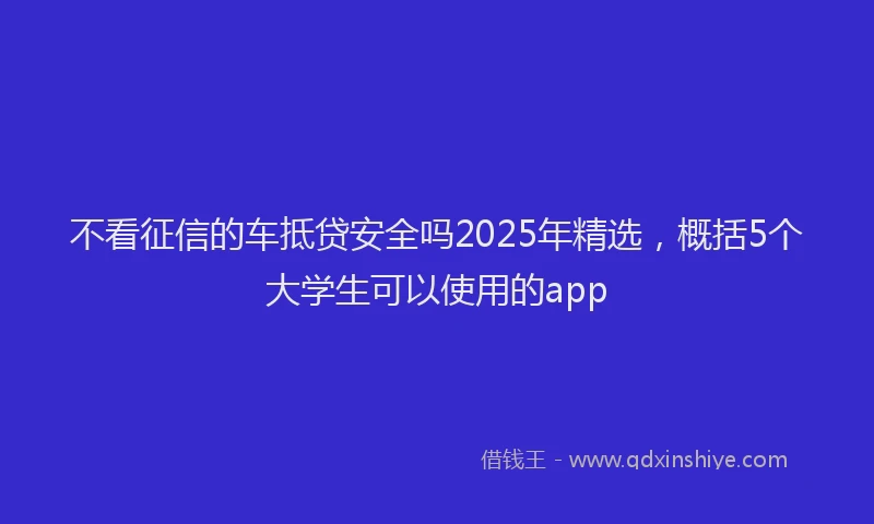 不看征信的车抵贷安全吗2025年精选，概括5个大学生可以使用的app