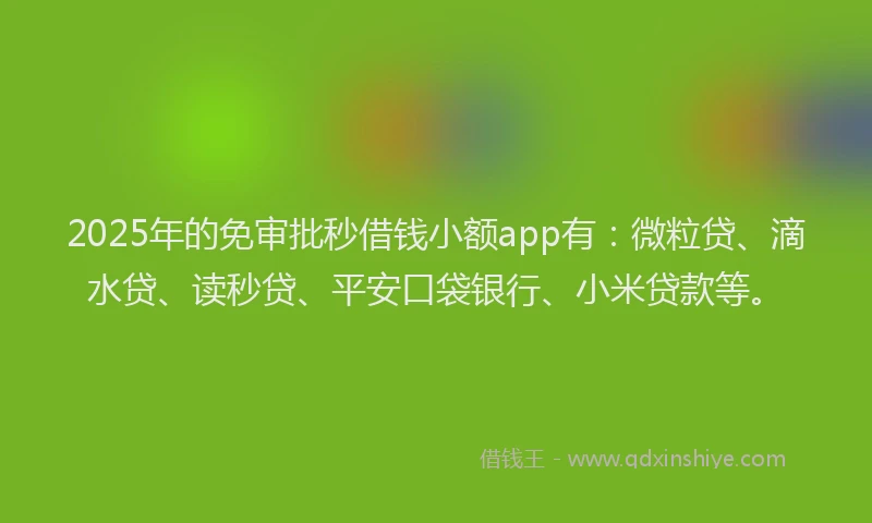 2025年的免审批秒借钱小额app有：微粒贷、滴水贷、读秒贷、平安口袋银行、小米贷款等。
