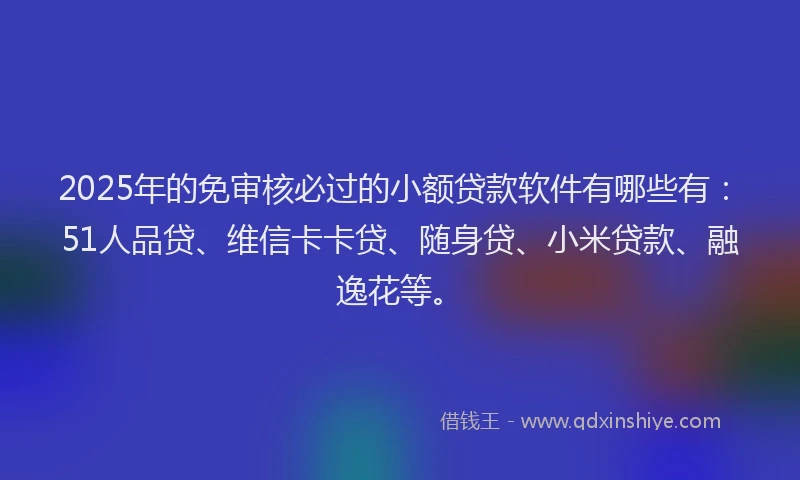 2025年的免审核必过的小额贷款软件有哪些有：51人品贷、维信卡卡贷、随身贷、小米贷款、融逸花等。