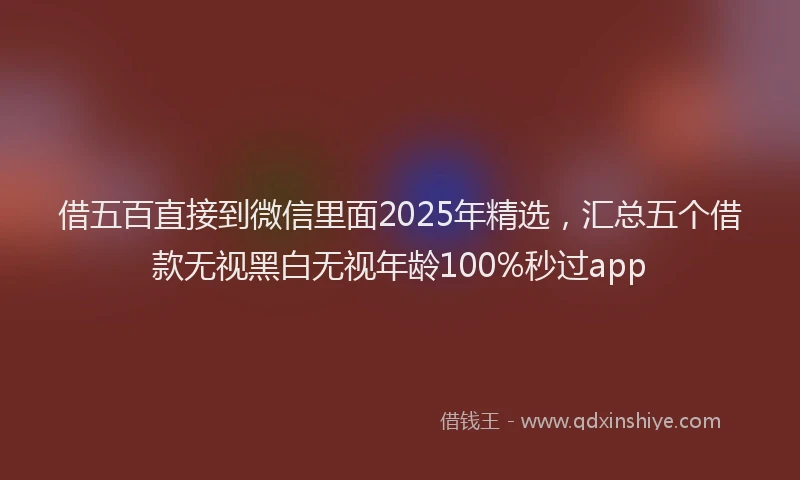 借五百直接到微信里面2025年精选，汇总五个借款无视黑白无视年龄100%秒过app