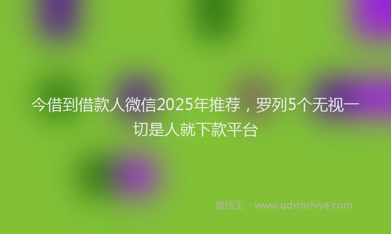 今借到借款人微信2025年推荐，罗列5个无视一切是人就下款平台