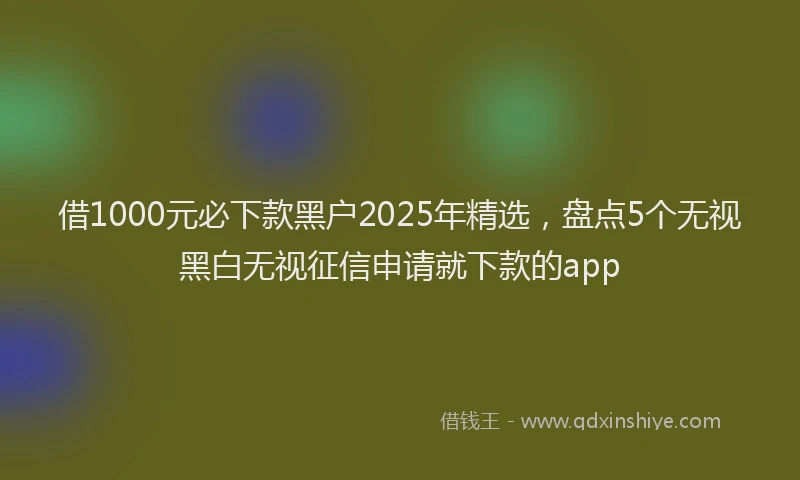 借1000元必下款黑户2025年精选，盘点5个无视黑白无视征信申请就下款的app