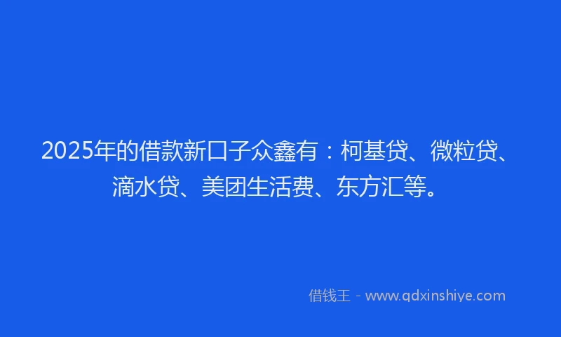 2025年的借款新口子众鑫有：柯基贷、微粒贷、滴水贷、美团生活费、东方汇等。