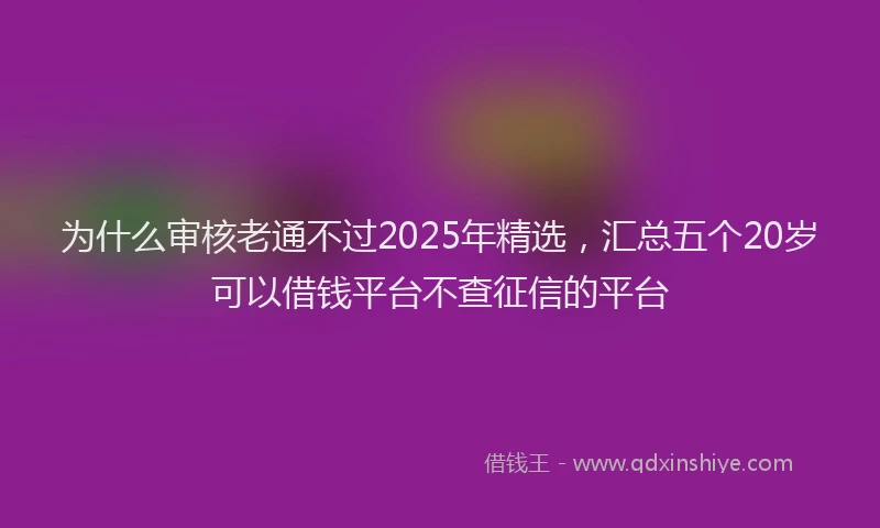 为什么审核老通不过2025年精选，汇总五个20岁可以借钱平台不查征信的平台