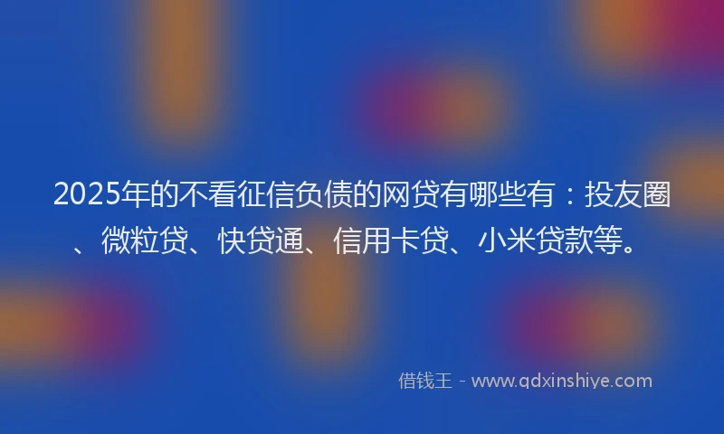 2025年的不看征信负债的网贷有哪些有：投友圈、微粒贷、快贷通、信用卡贷、小米贷款等。