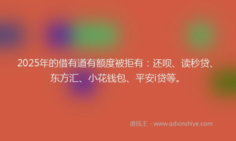 2025年的借有道有额度被拒有：还呗、读秒贷、东方汇、小花钱包、平安i贷等。