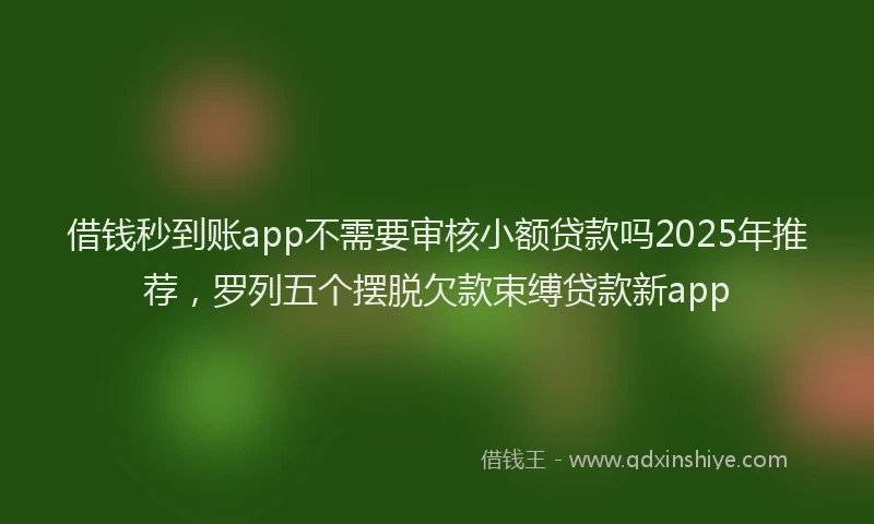 借钱秒到账app不需要审核小额贷款吗2025年推荐，罗列五个摆脱欠款束缚贷款新app