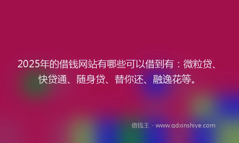 2025年的借钱网站有哪些可以借到有：微粒贷、快贷通、随身贷、替你还、融逸花等。