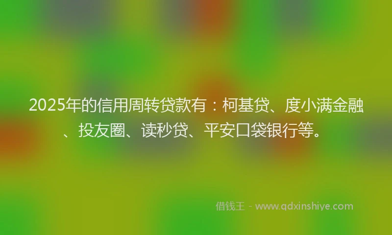 2025年的信用周转贷款有：柯基贷、度小满金融、投友圈、读秒贷、平安口袋银行等。