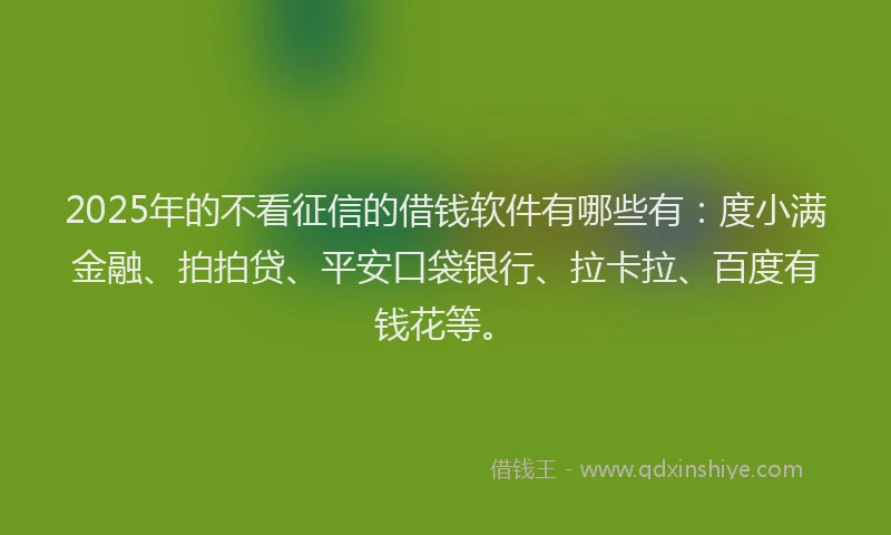 2025年的不看征信的借钱软件有哪些有：度小满金融、拍拍贷、平安口袋银行、拉卡拉、百度有钱花等。