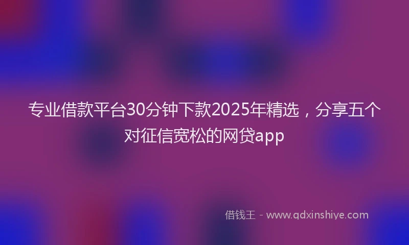 专业借款平台30分钟下款2025年精选，分享五个对征信宽松的网贷app
