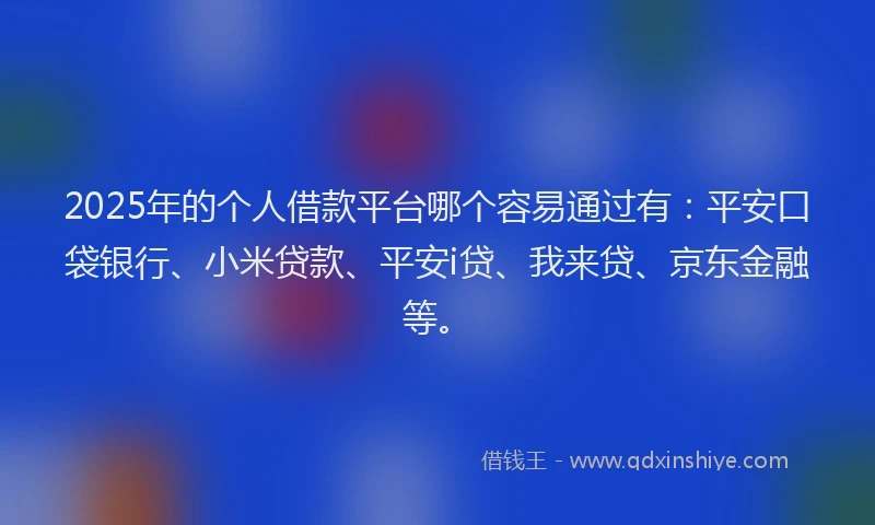 2025年的个人借款平台哪个容易通过有：平安口袋银行、小米贷款、平安i贷、我来贷、京东金融等。