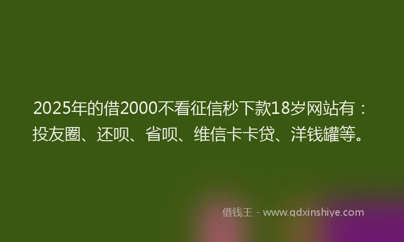 2025年的借2000不看征信秒下款18岁网站有：投友圈、还呗、省呗、维信卡卡贷、洋钱罐等。