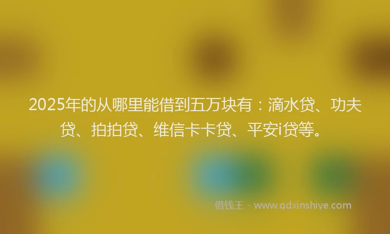 2025年的从哪里能借到五万块有：滴水贷、功夫贷、拍拍贷、维信卡卡贷、平安i贷等。