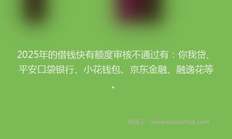 2025年的借钱快有额度审核不通过有：你我贷、平安口袋银行、小花钱包、京东金融、融逸花等。