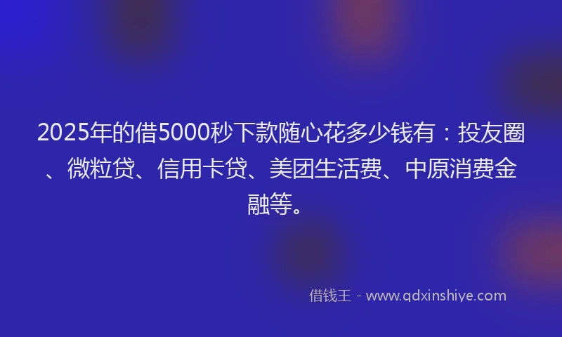 2025年的借5000秒下款随心花多少钱有：投友圈、微粒贷、信用卡贷、美团生活费、中原消费金融等。