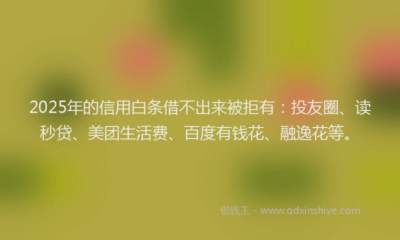 2025年的信用白条借不出来被拒有：投友圈、读秒贷、美团生活费、百度有钱花、融逸花等。