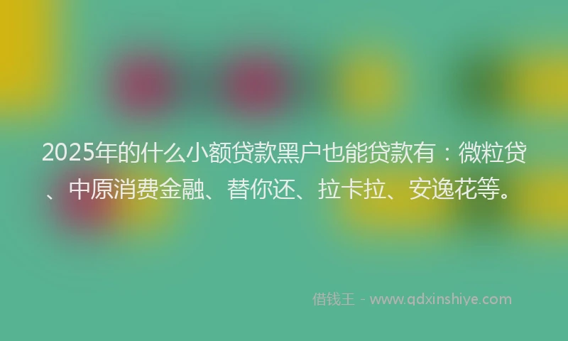 2025年的什么小额贷款黑户也能贷款有：微粒贷、中原消费金融、替你还、拉卡拉、安逸花等。