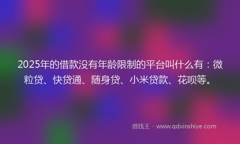 2025年的借款没有年龄限制的平台叫什么有：微粒贷、快贷通、随身贷、小米贷款、花呗等。