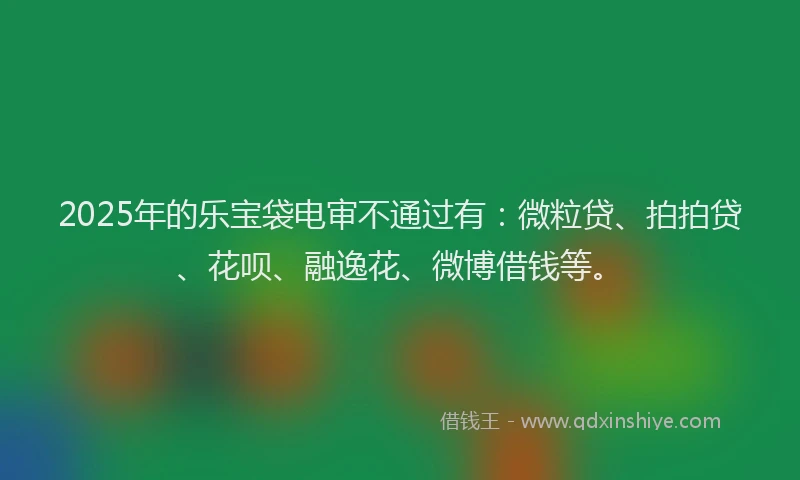 2025年的乐宝袋电审不通过有：微粒贷、拍拍贷、花呗、融逸花、微博借钱等。