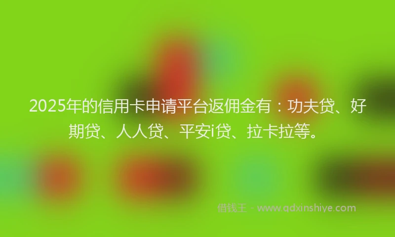 2025年的信用卡申请平台返佣金有：功夫贷、好期贷、人人贷、平安i贷、拉卡拉等。
