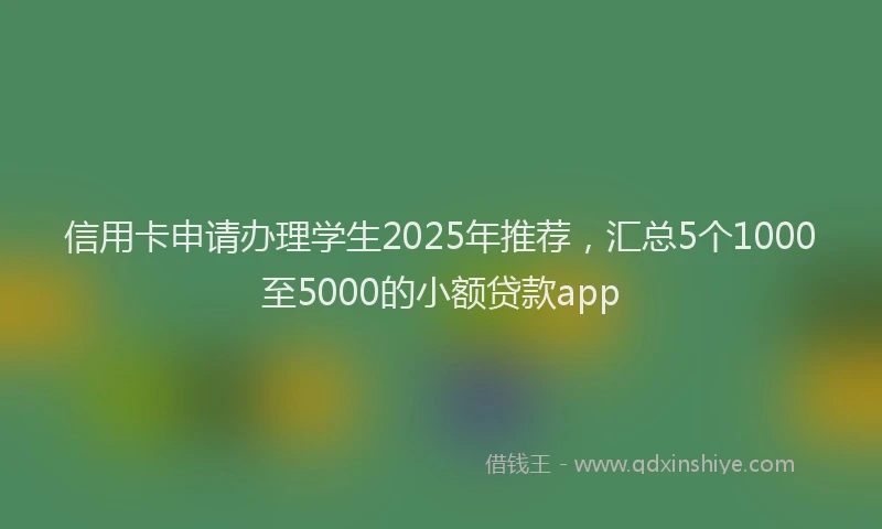 信用卡申请办理学生2025年推荐，汇总5个1000至5000的小额贷款app